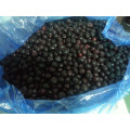 Bulk Frozen Fresh Blueberry Fruit For Shipping Goods